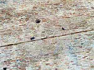 Corinaldo town in the province of Ancona, Marche region, Italy. Ancient wall, fortification and pigeons photo