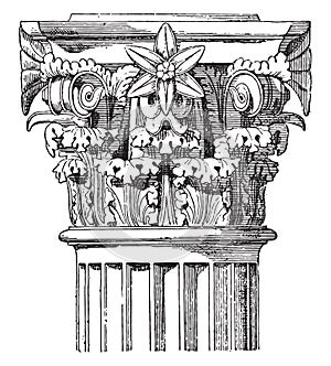Corinthian capital, Temple of Vesta, vintage engraving
