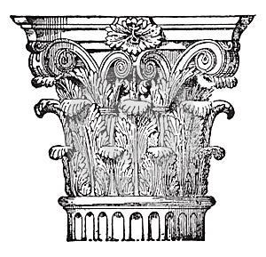 Corinthian capital, vintage engraving