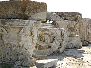 Corinthian Column Capitals Carthage Tunisia