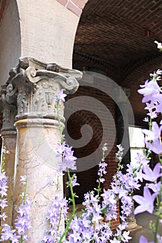 Corinthian Columns with lavender flowers