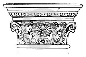 Corinthian Pilaster Capital, elements,  vintage engraving