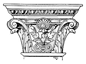 Corinthian Pilaster Capital, an Italian Renaissance design, vintage engraving