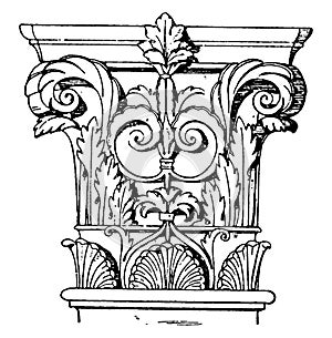 Corinthian Pilaster Capital or slenderest,  vintage engraving