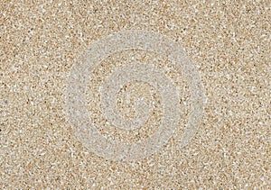 Cork Background Texture