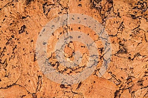 Cork board, for backgrounds