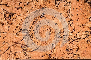 Cork board, for backgrounds