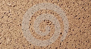 Cork board texture material brown surface