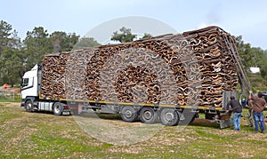 Cork, Cork pieces. Many detached pieces of cork oak bark, stacked on a truck, ready to transportation and further processing. Ale