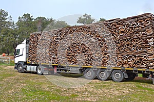 Cork, Cork pieces. Many pieces from the cork oak bark, natural raw material, stacked on a truck, ,