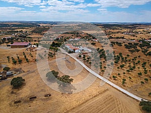 Cork oaks forest field in Alentejo, portugal aerial shot