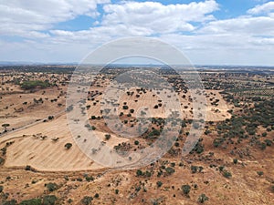 Cork oaks forest field in Alentejo, portugal aerial shot