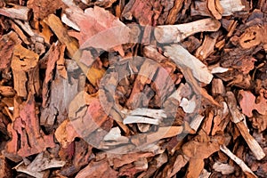 cork tree bark stacked in a pile