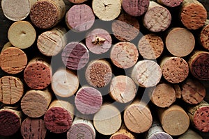 Cork wine