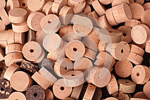 Cork wood