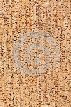 corkboard texture or background