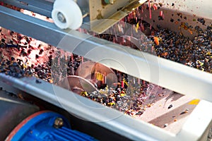 Corkscrew crusher destemmer vinemaking with grapes