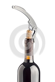 Corkscrew on wine bottle