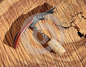 Corkscrew with wine cork