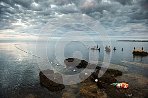 Cormorant birds on the seashore. Sea rocky shore