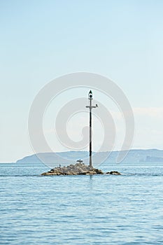 Cormorant dries its wings. The birds dries its plumage in the sun. The coast of the sea. A flock of sea birds on the rocky coastli photo