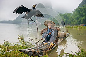 Cormorant Fisherman