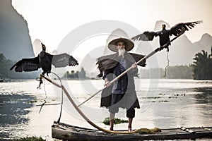 Cormorant fisherman showing birds