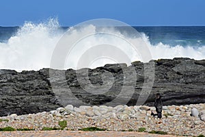 Cormorant & Rough Sea, Tsitsikamma National Park, South Africa