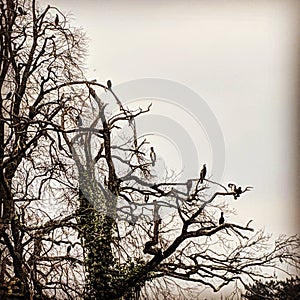 I upload this file exclusively on Dreamstime.com. I acknowledge and warrant that I have read and agree with the Exclusivity Terms  photo