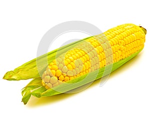 Corn