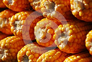 Corn