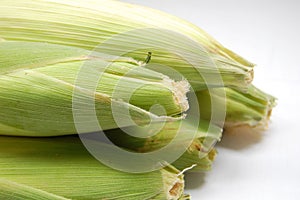 Corn