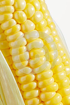 Corn