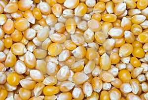 Corn