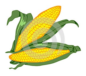 Corn 2