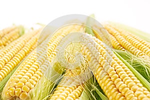 Corn