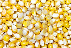 Corn