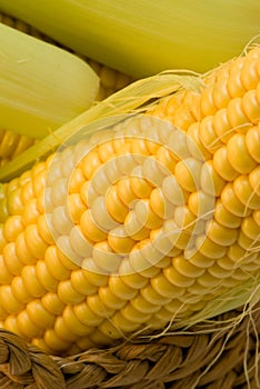 Corn