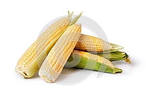 Corn