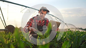 corn agriculture. a male farmer works on a laptop in a field with green corn sprouts. corn is lifestyle watered by