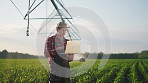 corn agriculture. a male farmer works on a laptop in a field with green corn sprouts. corn is watered by irrigation