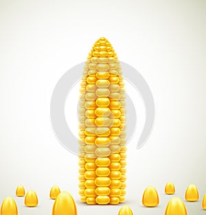 Corn background