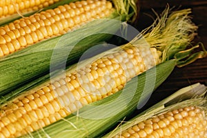 corn background, macro closeup