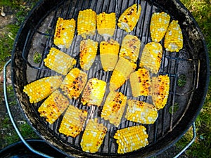 Corn on bbq grill in summer