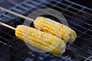 Corn on bbq