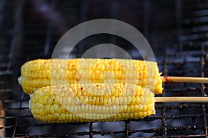 Corn on bbq