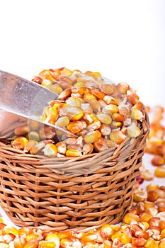 Corn beans in awooden basket