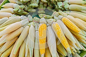 Corn boil