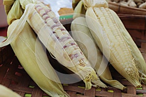 corn boil is delicious in the market.