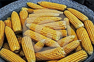 Corn boiled in a large pot